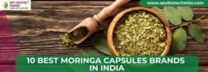 10 Best Moringa Capsules Brands in India